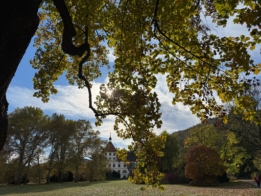 25.10. Schloß Eggenberg