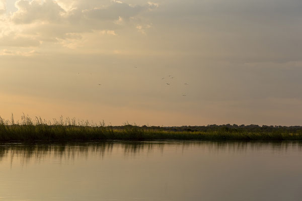 23.03. Sundowner Cruise 