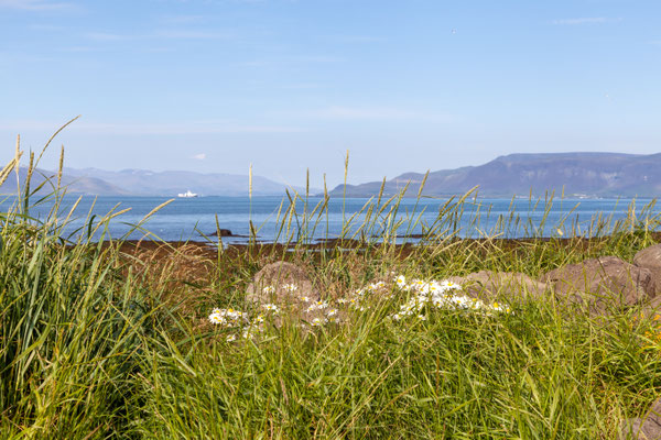 30.07. Reykjavík:  Grótta Leuchtturm 