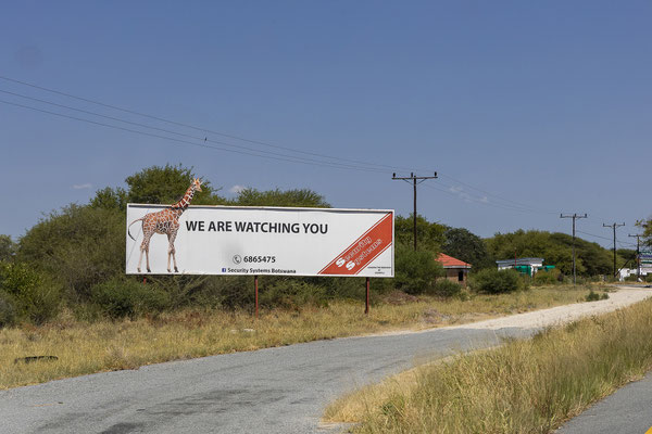 17.03. Gegen Mittag ..