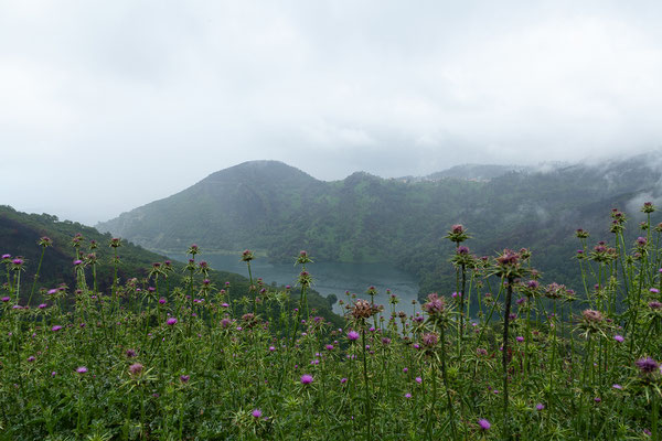 05.06. Castagniccia: Alesani Stausee