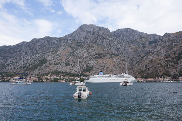 8.9. Vor Kotor liegen meist mehrere Kreuzfahrtschiffe im Hafen.