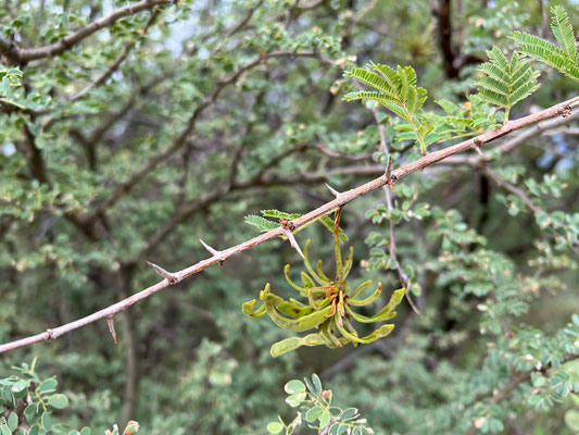 26.03. Später machen wir uns auf den Weg ...
