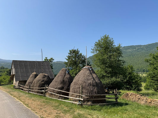 Über eine schöne Waldpiste geht's Richtung Blidinjsko Jezero.