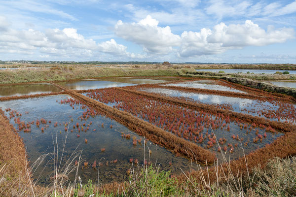 Salzgärten von Guérande