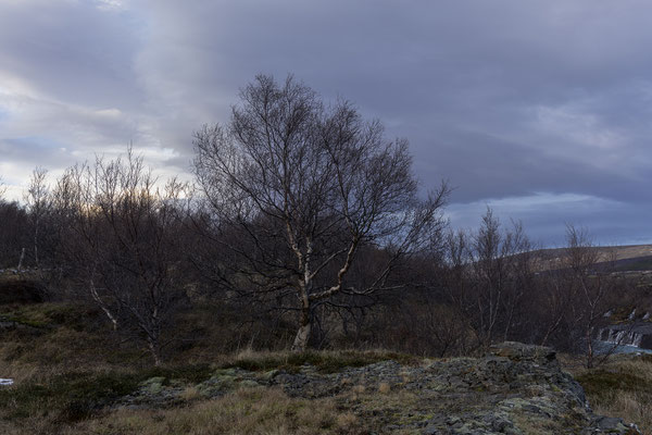 Hraunfossar