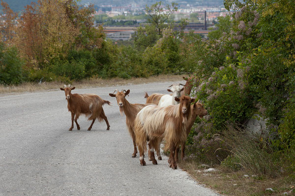 9.9. Weiterfahrt nach Norden