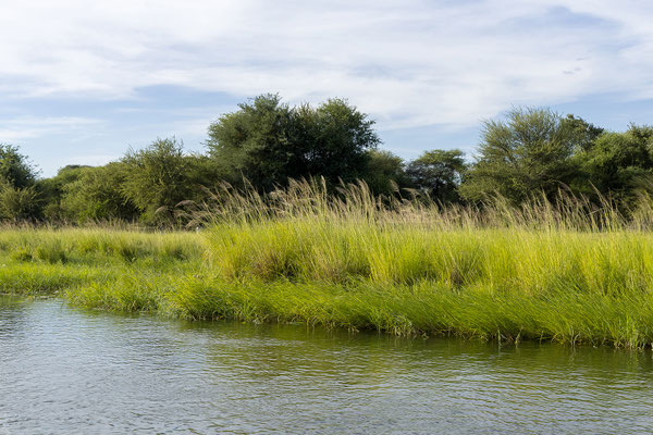 21.03. Sunset Cruise