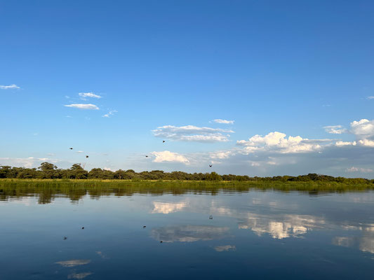 23.03. Die heutige Sundowner Cruise verläuft sehr entspannt mit netten Mitfahrenden :-)