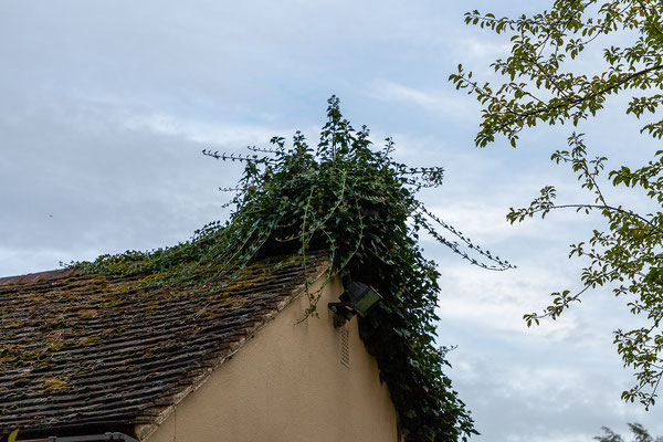 09.09. Heute übernachten wir im B&B Holdfast Cottage in den Malvern Hills.