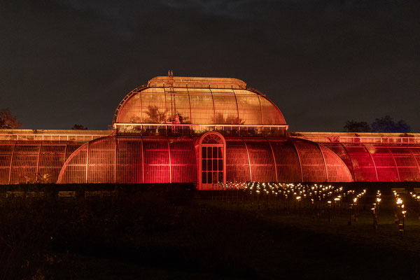 Christmas at Kew