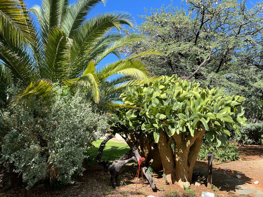 01.03. In der Früh räumen wir die Autos ein. Bis wir gegen 10:00 startklar sind, zeigt sich wieder strahlend blauer Himmel.