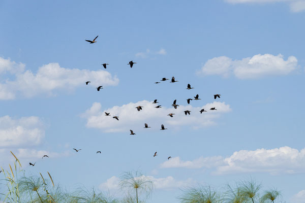 20.03. Um 16:00 starten wir zur Evening Cruise. 