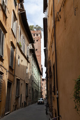 07.06. Lucca: Torre Guinigi von unten