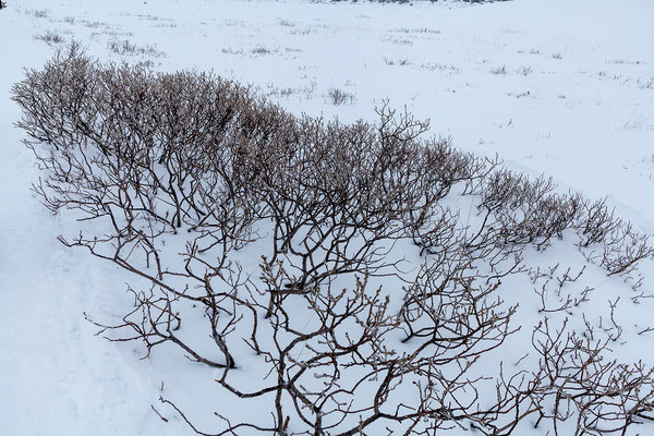 24.02.  Gullfoss