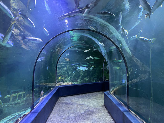 Océanarium Le Croisic