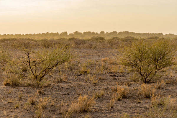 16.03. Morning Drive: Kurz regnet es doch noch; schön!