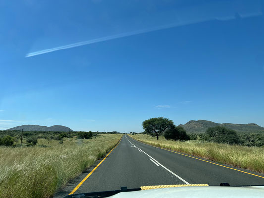 01.03. Durch die sommerlich grüne Kalaharilandschaft gehts Richtung Bagatelle.