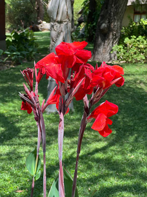 23.03. Hakusembe River Lodge