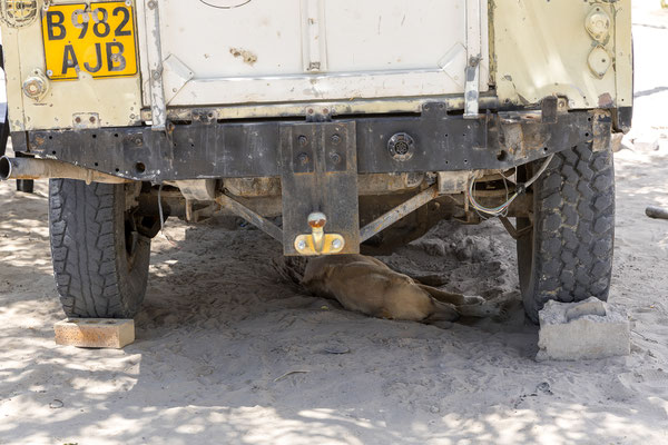 16.03. Land Rover Rakops