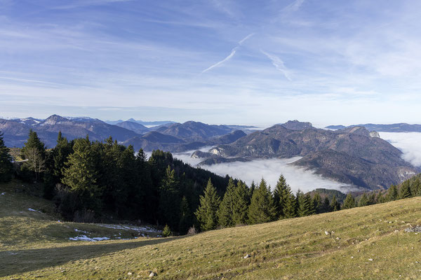 Am Schafberg sind wir über dem Nebel und genießen die Sonne.
