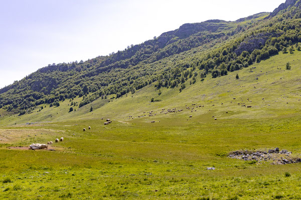 Piste über Umoljani Richtung Sarajevo
