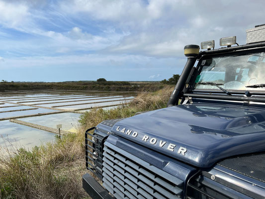 Salzgärten von Guérande