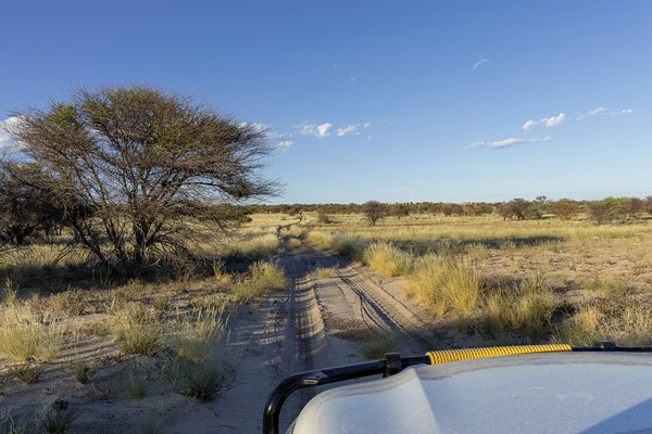 10.03. Die Landschaft ist wie immer wunderschön.
