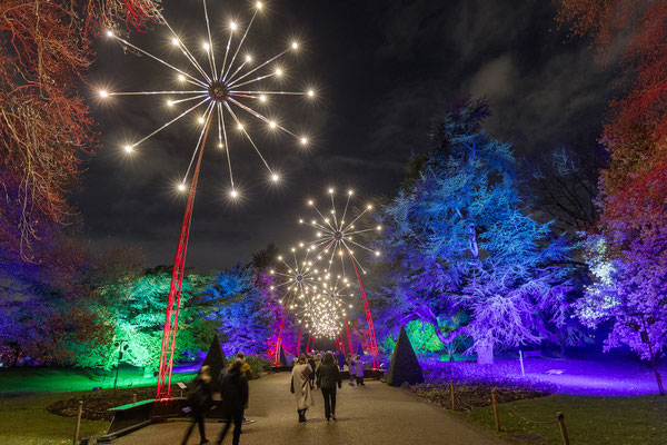 Christmas at Kew