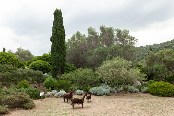 30.05. Wir besuchen den botanischen Garten Parc de Saleccia