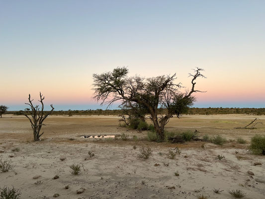 08.03. Evening Drive