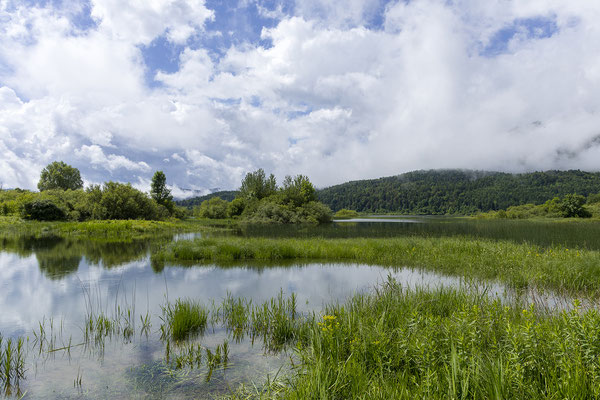 Cerknica See