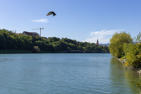 Lent Viertel, Drau