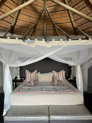 17.03. Wir beziehen wieder Chalet #11.