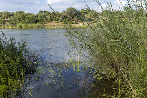 23.03. Hakusembe River Lodge, Campsite #4
