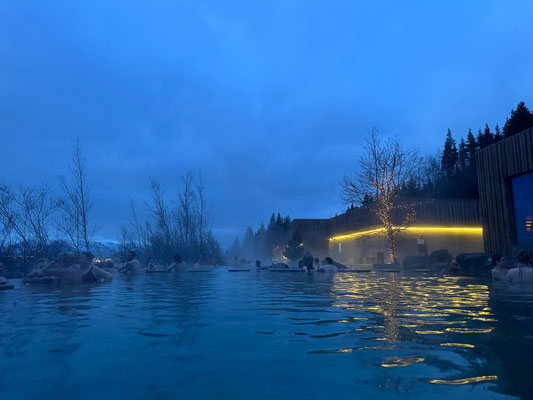 Forest Lagoon