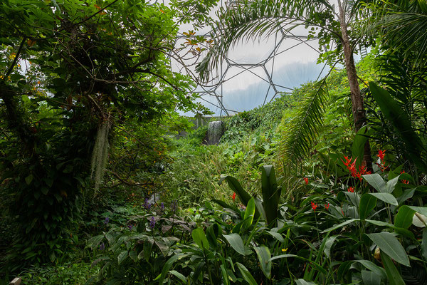 01.09. Eden Project: Regenwald Biom