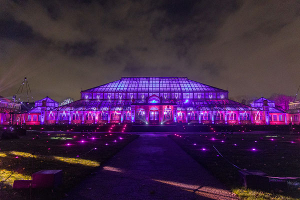 Christmas at Kew