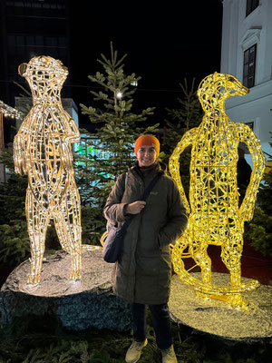 Weihnachtsmarkt am Karmeliterplatz