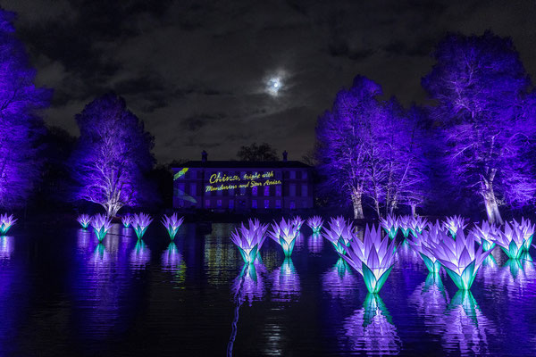 Christmas at Kew