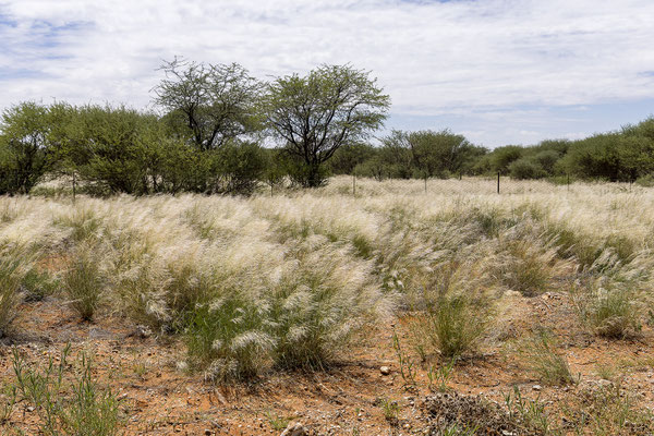 01.03. Unterwegs nach Bagatelle