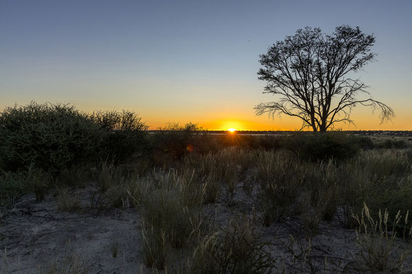 10.03. Bosobogolo 02 Campsite: Wie schon so oft. Auf einen grandiosen Sonnenuntergang folgt ein nicht minder grandioser Sonnenaufgang. 