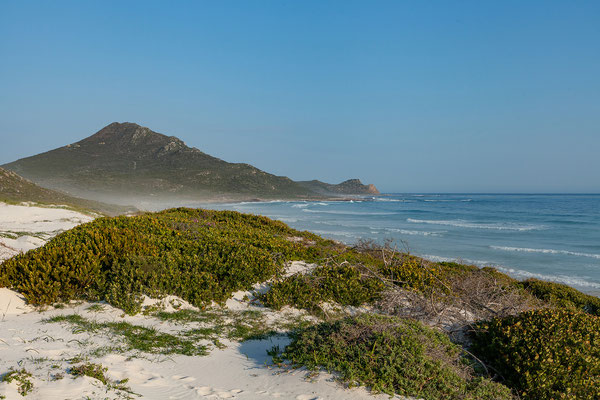 16.10. Cape Peninsula
