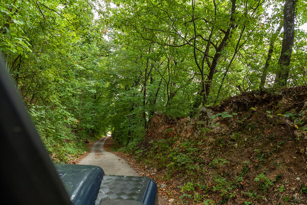 11.09. Nach so viel Kultur, ist es wieder Zeit für Natur: wir fahren auf den Berg Boč.