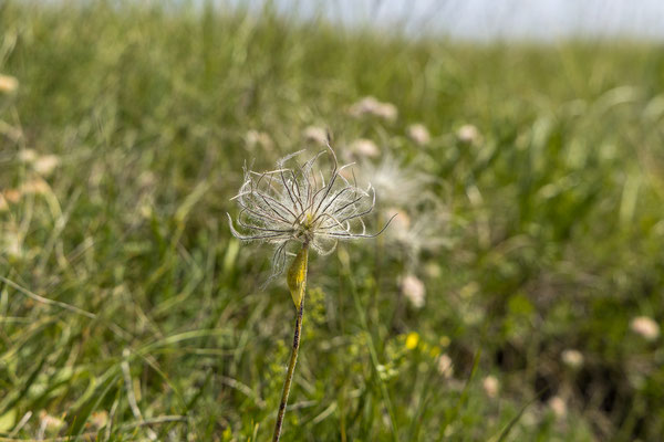 Planina Cincar