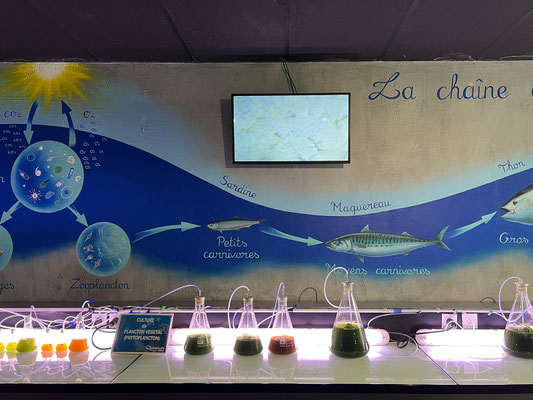 Océanarium Le Croisic