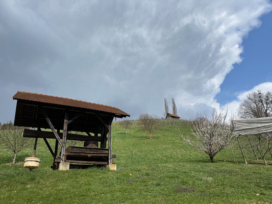 Weinlehrpfad Silberberg