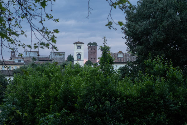 07.06. Lucca: Abendspaziergang auf der Stadtmauer mit Blick auf den Torre Guinigi