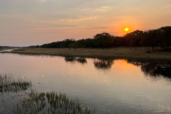 19.09. Den Abend verbringen wir dann mit einem tollen Sonnenuntergang und sehr gutem Essen in der Bar des Crocodile Camp am Thamalakane River!