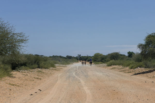 11.03. Mabua Gate - Kang